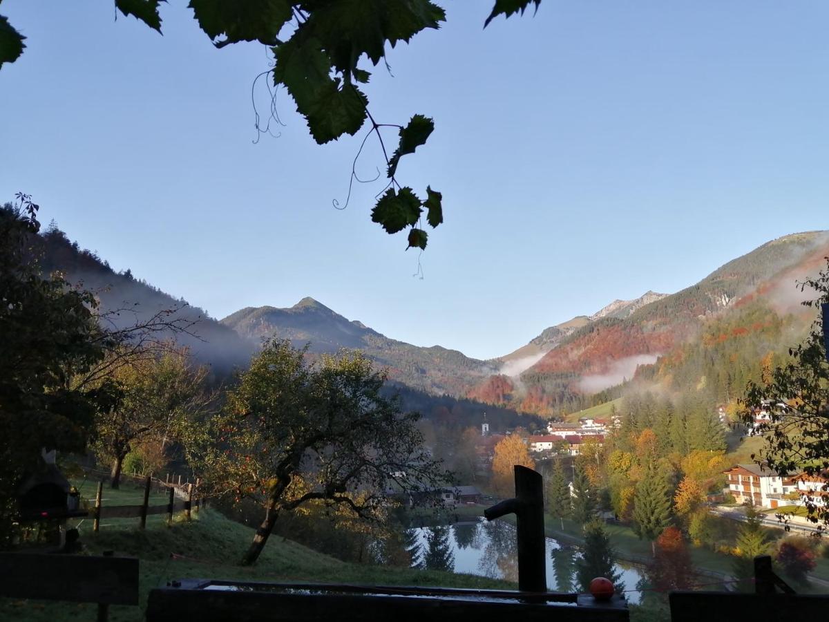 Bio-Bauernhof "Hecherhof" Thiersee Bagian luar foto