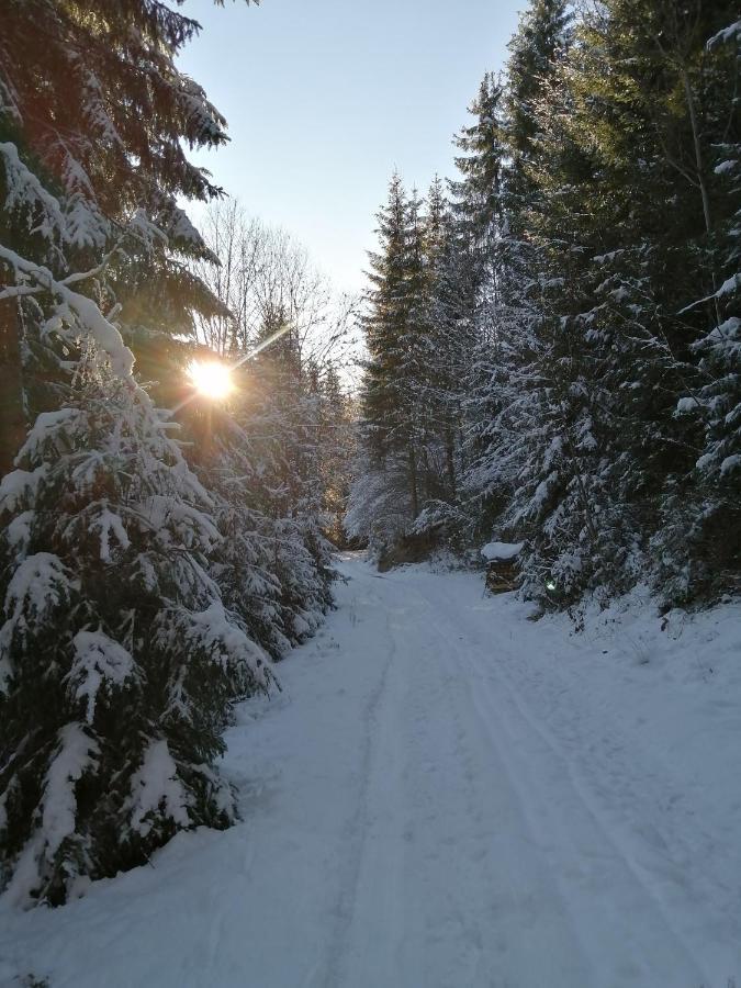Bio-Bauernhof "Hecherhof" Thiersee Bagian luar foto