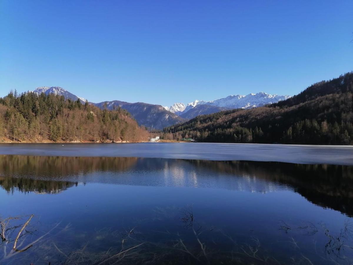 Bio-Bauernhof "Hecherhof" Thiersee Bagian luar foto