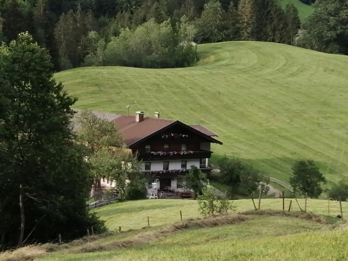 Bio-Bauernhof "Hecherhof" Thiersee Bagian luar foto