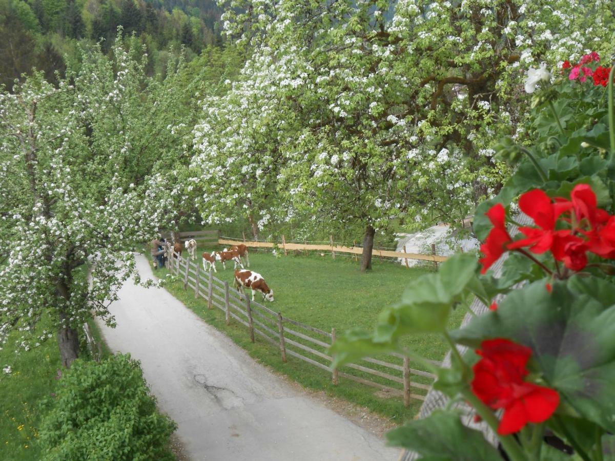 Bio-Bauernhof "Hecherhof" Thiersee Bagian luar foto