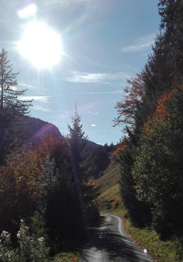 Bio-Bauernhof "Hecherhof" Thiersee Bagian luar foto